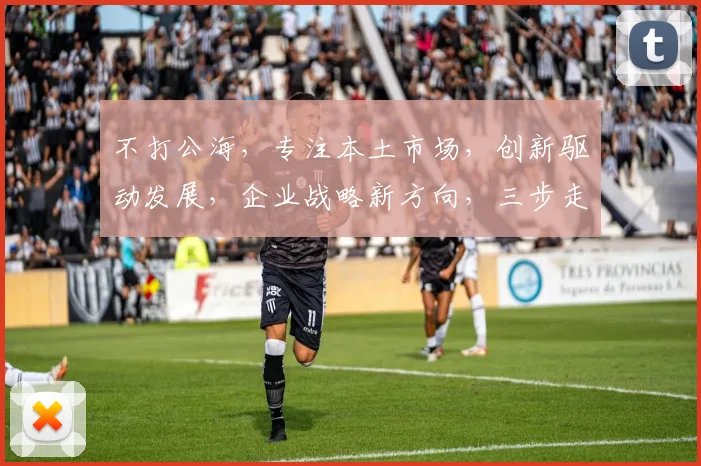 不打公海,专注本土市场,创新驱动发展,企业战略新方向,三步走策略